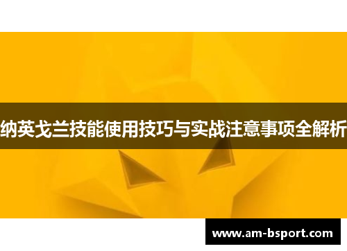 纳英戈兰技能使用技巧与实战注意事项全解析