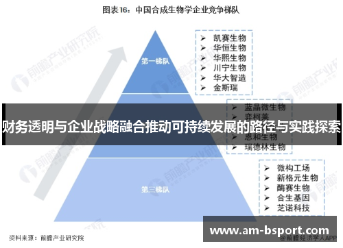 财务透明与企业战略融合推动可持续发展的路径与实践探索