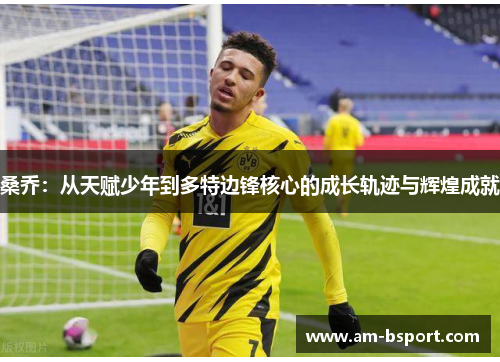 桑乔：从天赋少年到多特边锋核心的成长轨迹与辉煌成就